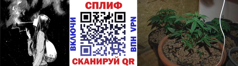 МАРИХУАНА OG Kush  Кедровый 